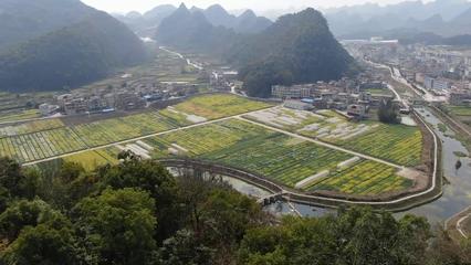 贵州长顺 油菜制种科技成果转化应用100%的实践与启示