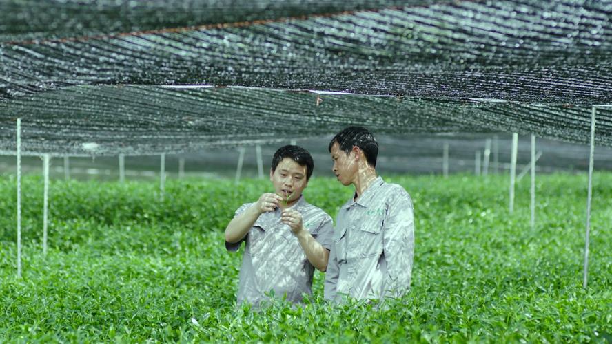 年销3.5亿,贵州小县城的世界超级工厂,从隐形到爆火